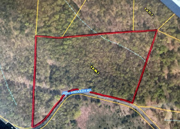 7.38 ACRES ON JAKE STAGGERS RD