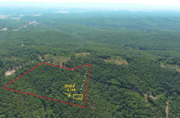 7.38 ACRES ON JAKE STAGGERS RD