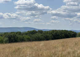 361.994 ACRES END SIRBAUGH ROAD