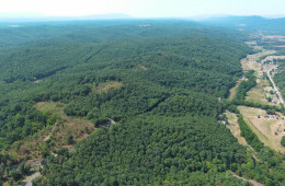 7.38 ACRES ON JAKE STAGGERS RD